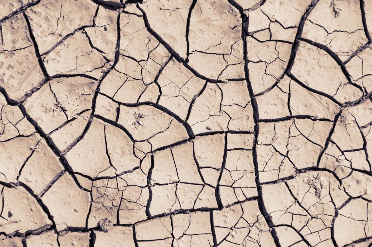 Expansive clay soil
